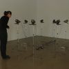 Seance, 8, modified music stands,8 .slide viewers,8. b w negetives mounted on slides, 2011.