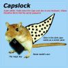 Capslock