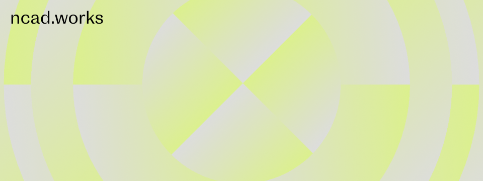 National College of Art and Design - works 23 banner 3a